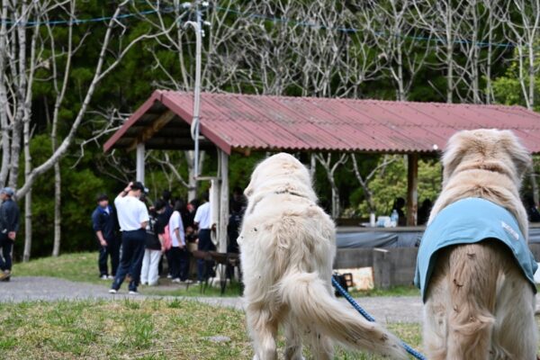 林野高校　上山フィールドワーク