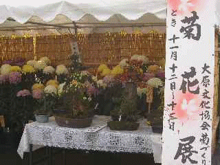 yiWz@匴ۈ牀Agۈ牀A匴wZA匴wZA匴nrɓʏoiĂ炢܂B@ؓEƂĕ̋oWBŹEȄoiBʐ^E|EԂȂǁB